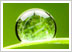 Green Initiative