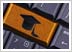 Online Learning